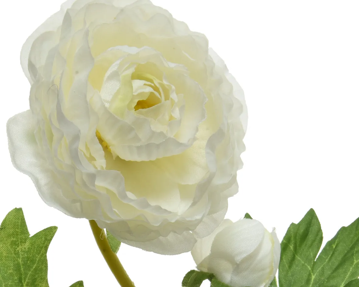 Camelia polyester