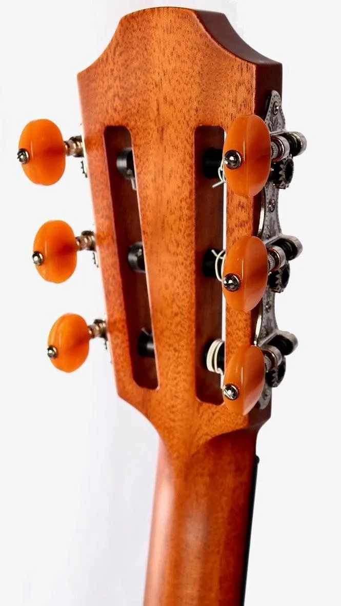 Furch GNc 4-CR Nylon Cedar / Indian Rosewood with LR Baggs EAS #105473
