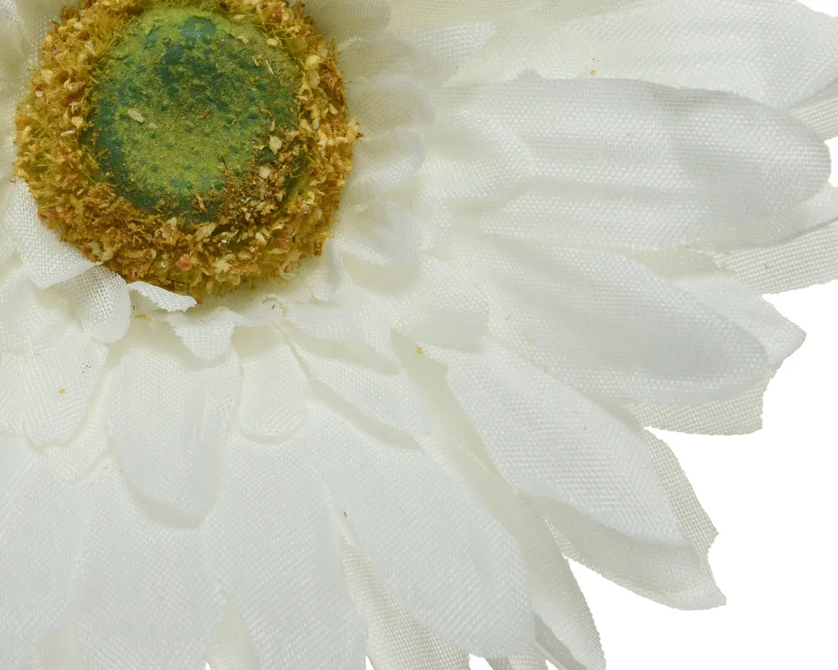 Gerbera polyester