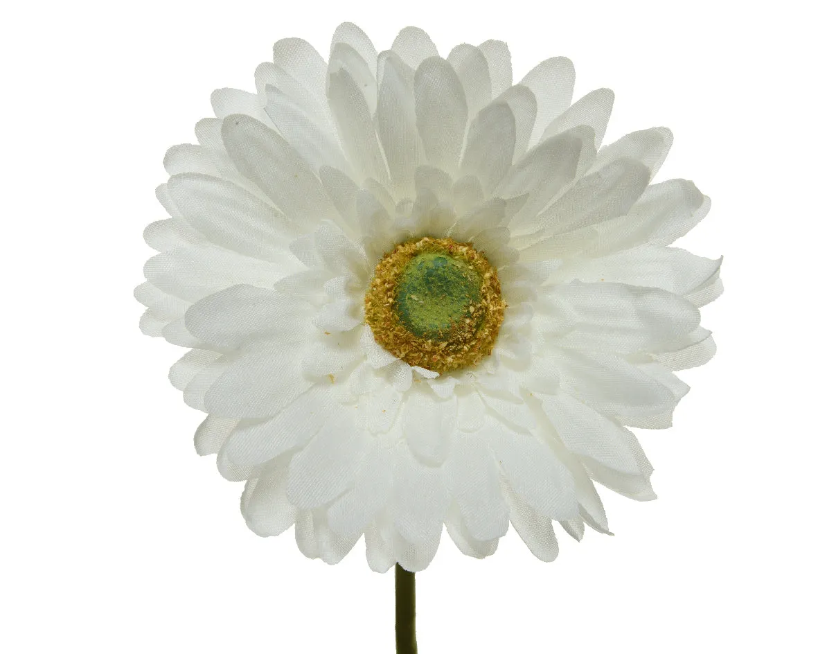 Gerbera polyester