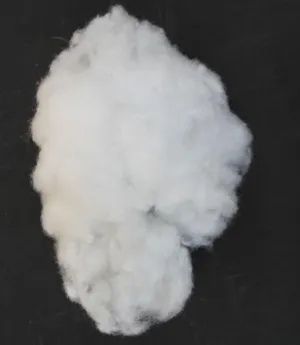 Polyester Fibre