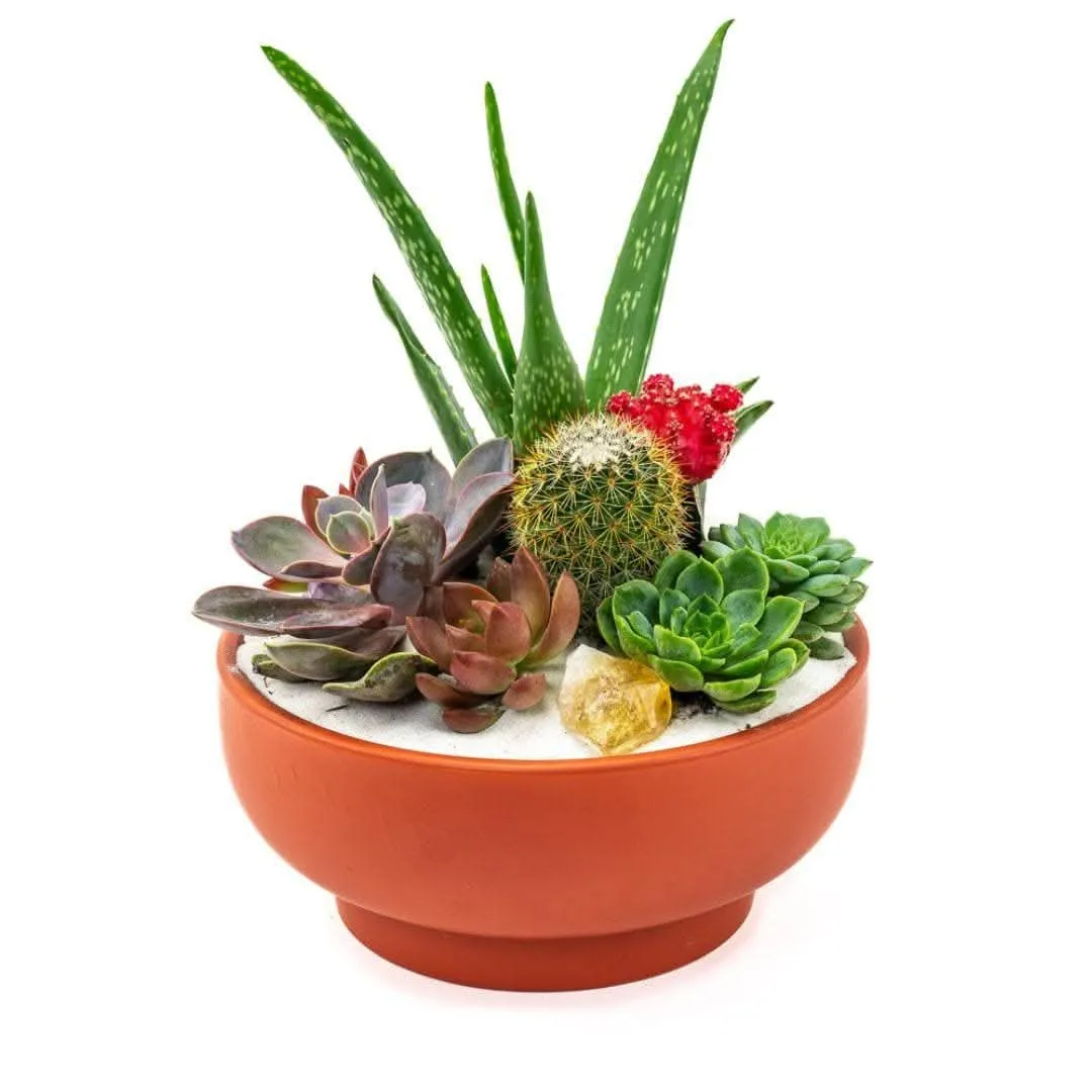 Rust Crystal Succulent Garden