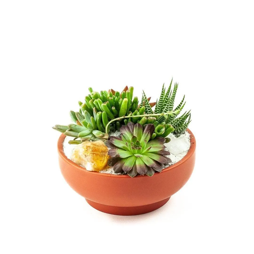 Rust Crystal Succulent Garden