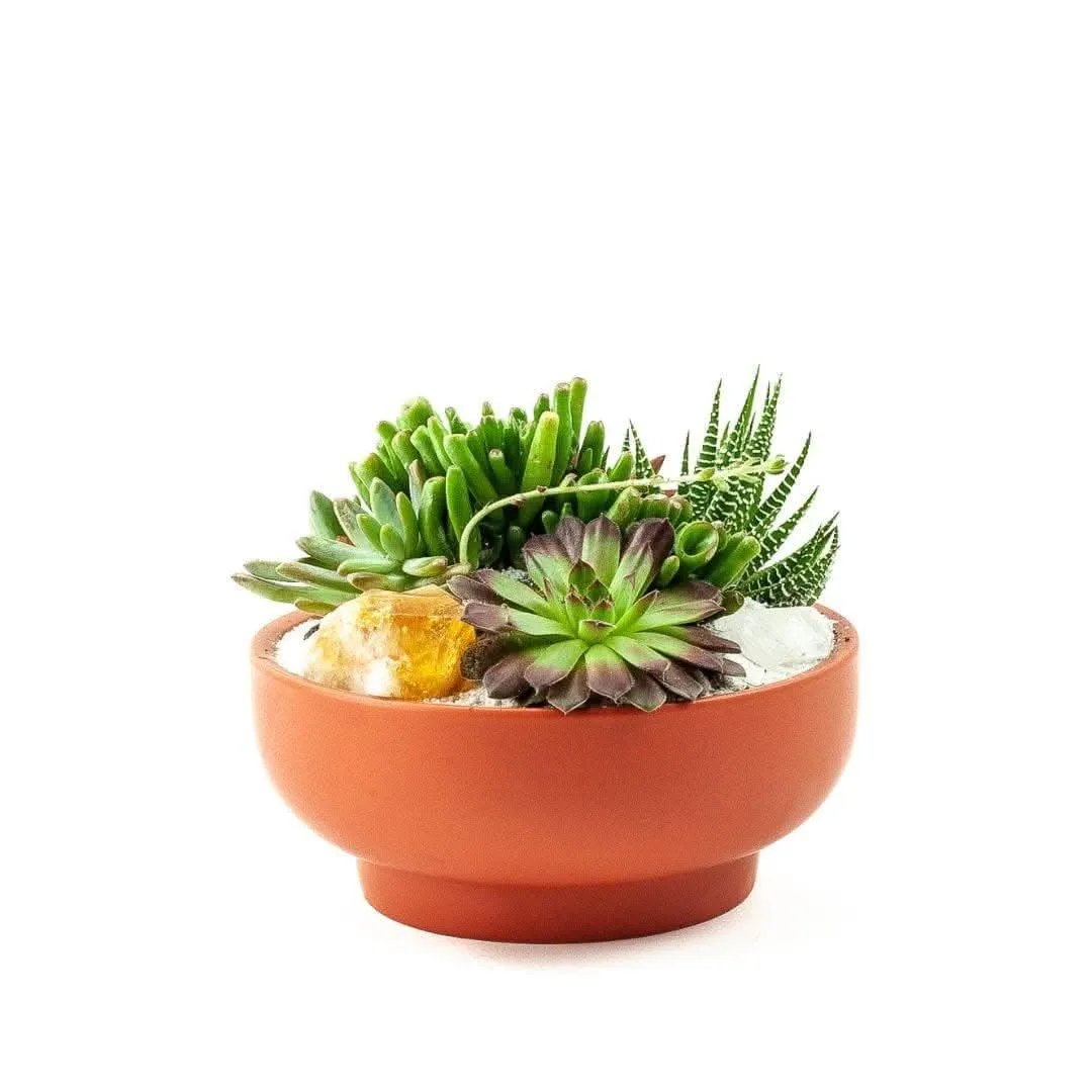 Rust Crystal Succulent Garden