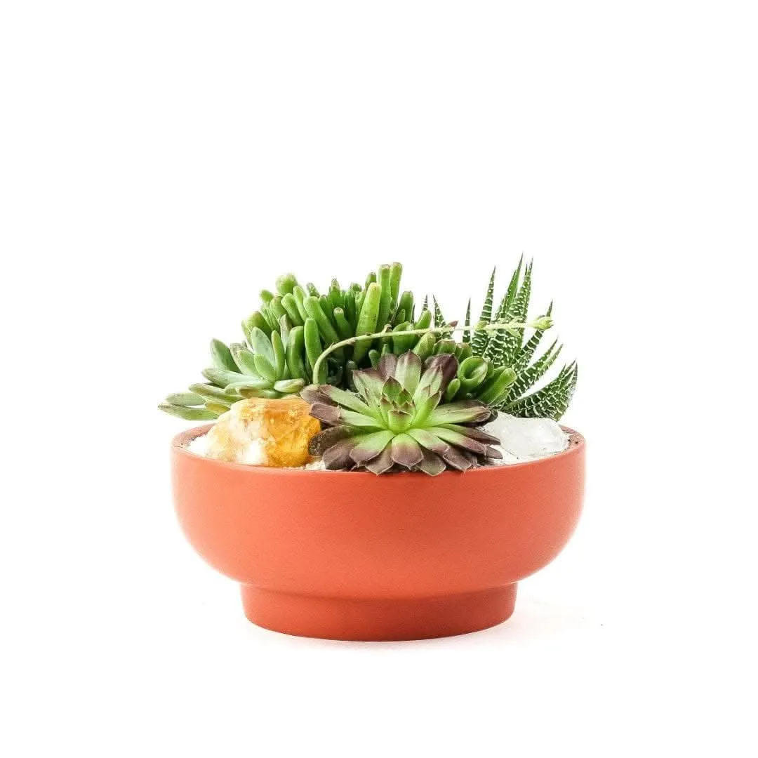 Rust Crystal Succulent Garden
