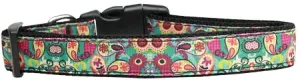 Turquoise Paisley Nylon Cat Collar