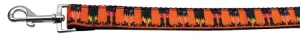 Witches Brew Nylon Dog Leash 3-8 Inch Wide 4ft Long